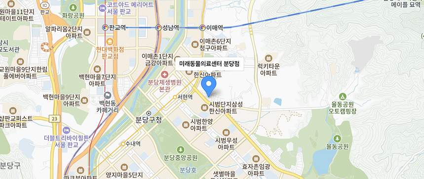 미래동물의료센터 분당점 - 주소 : 경기도 성남시 분당구 서현로255번길 1