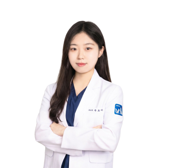 주초아 수의사