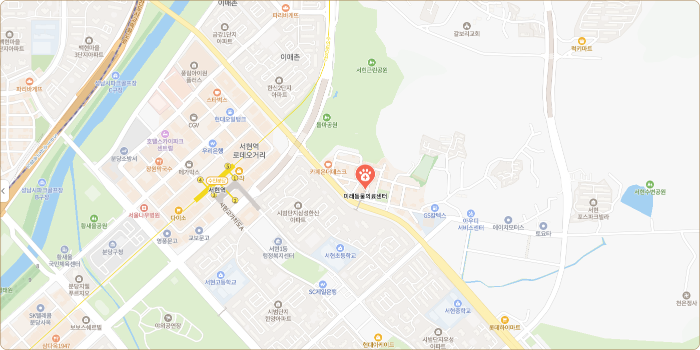 지도 이미지